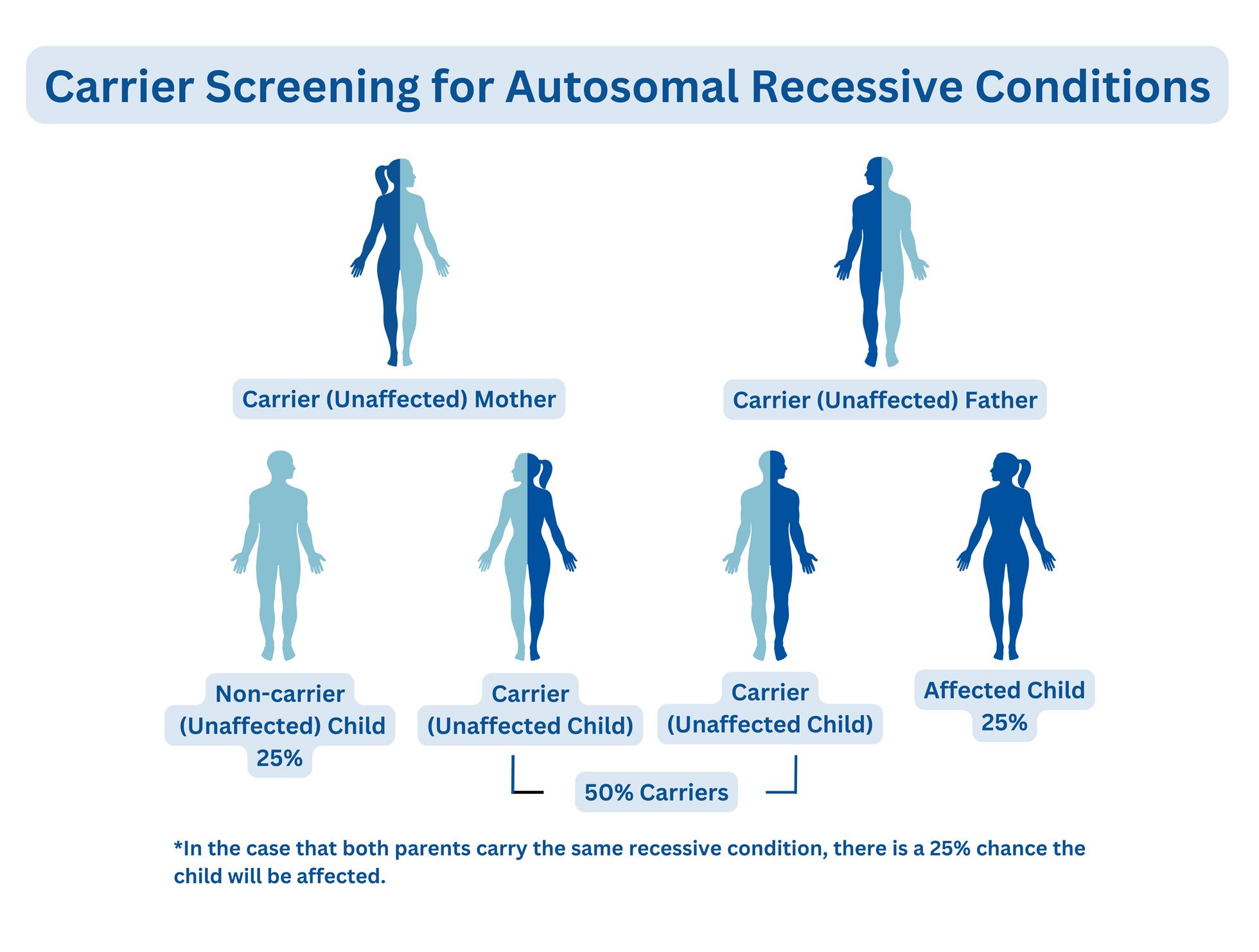 Autosomal Dominant & Recessive